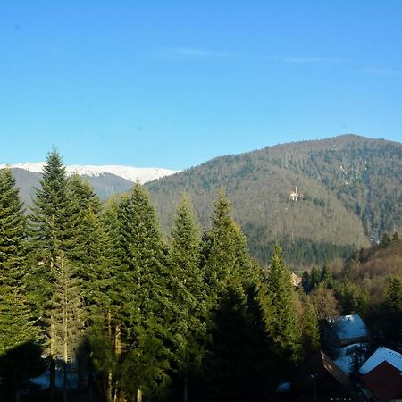 Grandpa'S Hidden Crib, 6 Bedroom, Pet Friendly Sinaia Exterior foto