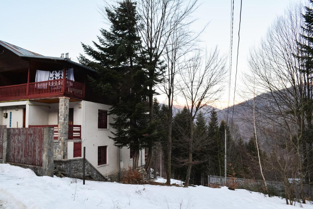 Grandpa'S Hidden Crib, 6 Bedroom, Pet Friendly Sinaia Exterior foto
