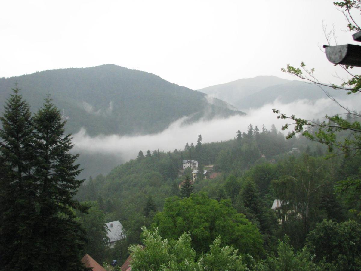 Grandpa'S Hidden Crib, 6 Bedroom, Pet Friendly Sinaia Exterior foto