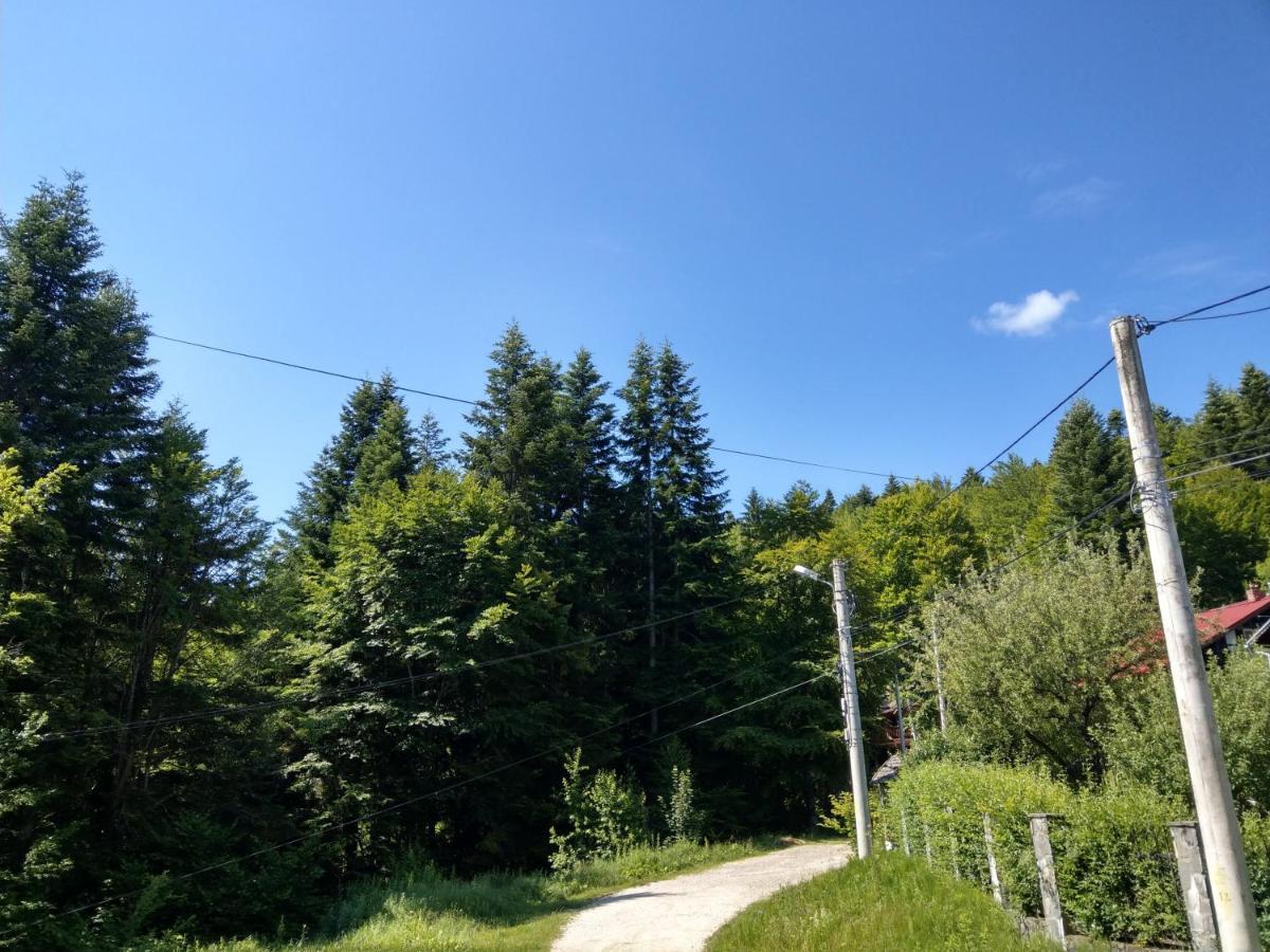 Grandpa'S Hidden Crib, 6 Bedroom, Pet Friendly Sinaia Exterior foto