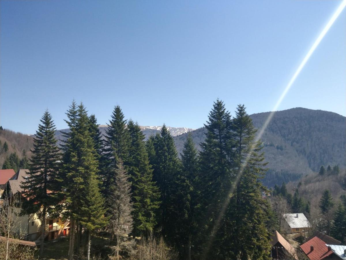 Grandpa'S Hidden Crib, 6 Bedroom, Pet Friendly Sinaia Exterior foto