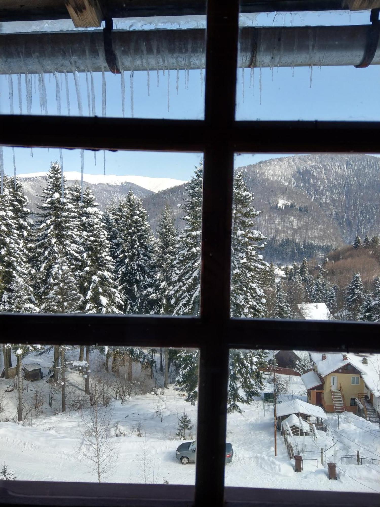 Grandpa'S Hidden Crib, 6 Bedroom, Pet Friendly Sinaia Exterior foto