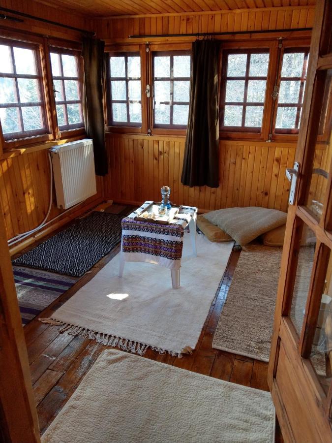 Grandpa'S Hidden Crib, 6 Bedroom, Pet Friendly Sinaia Exterior foto