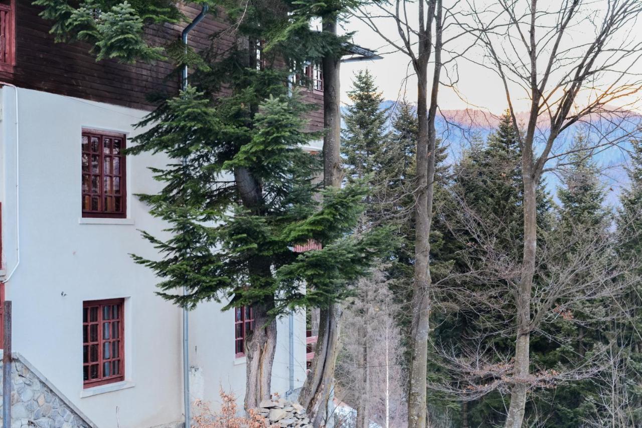 Grandpa'S Hidden Crib, 6 Bedroom, Pet Friendly Sinaia Exterior foto
