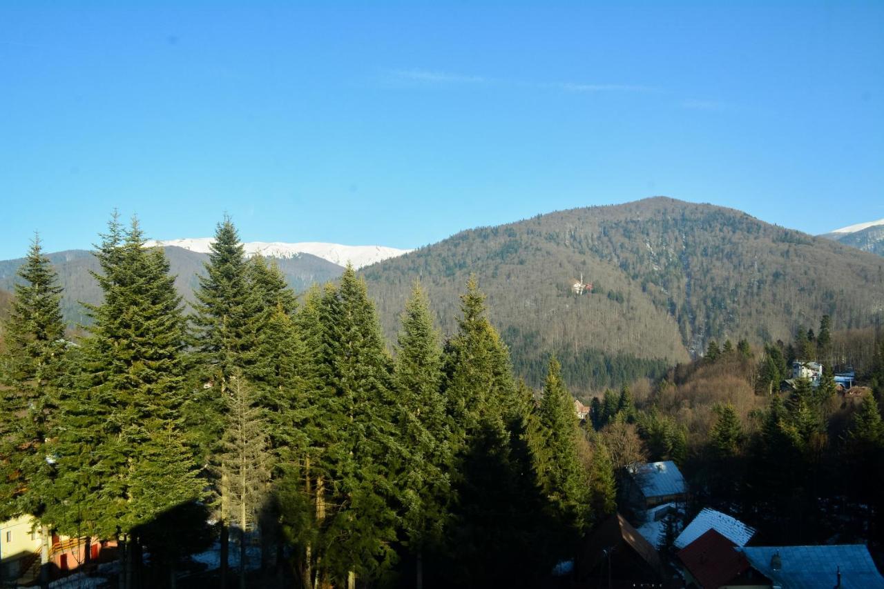 Grandpa'S Hidden Crib, 6 Bedroom, Pet Friendly Sinaia Exterior foto