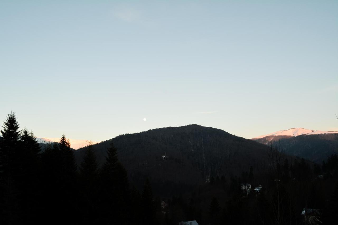 Grandpa'S Hidden Crib, 6 Bedroom, Pet Friendly Sinaia Exterior foto