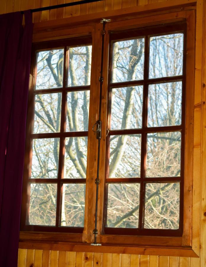 Grandpa'S Hidden Crib, 6 Bedroom, Pet Friendly Sinaia Exterior foto