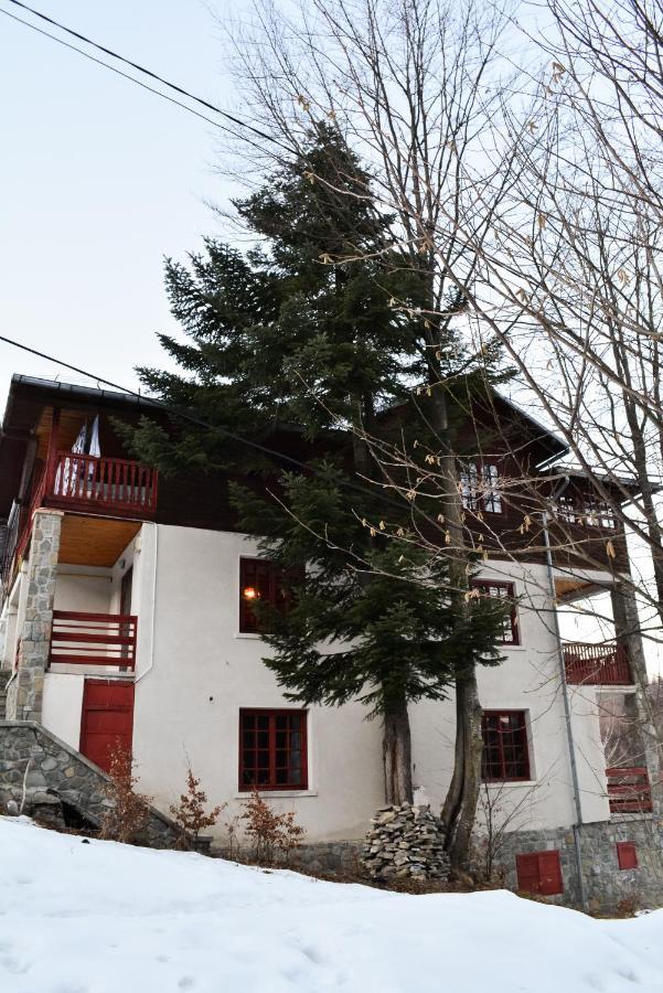Grandpa'S Hidden Crib, 6 Bedroom, Pet Friendly Sinaia Exterior foto