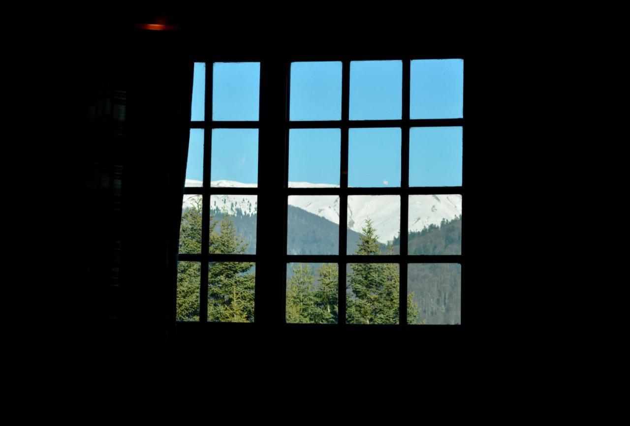 Grandpa'S Hidden Crib, 6 Bedroom, Pet Friendly Sinaia Exterior foto